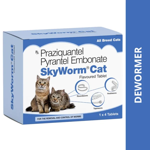 Skyworm Cat