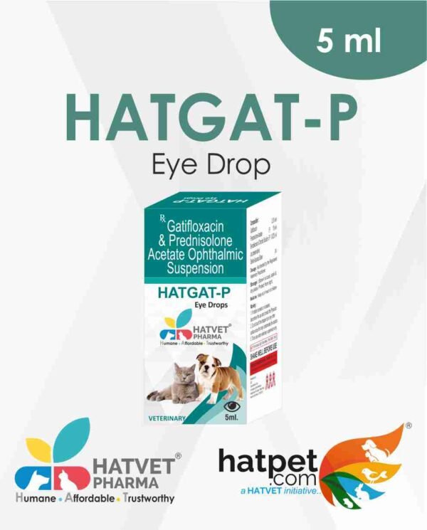 Hatgat P Eye Drops - Image 3